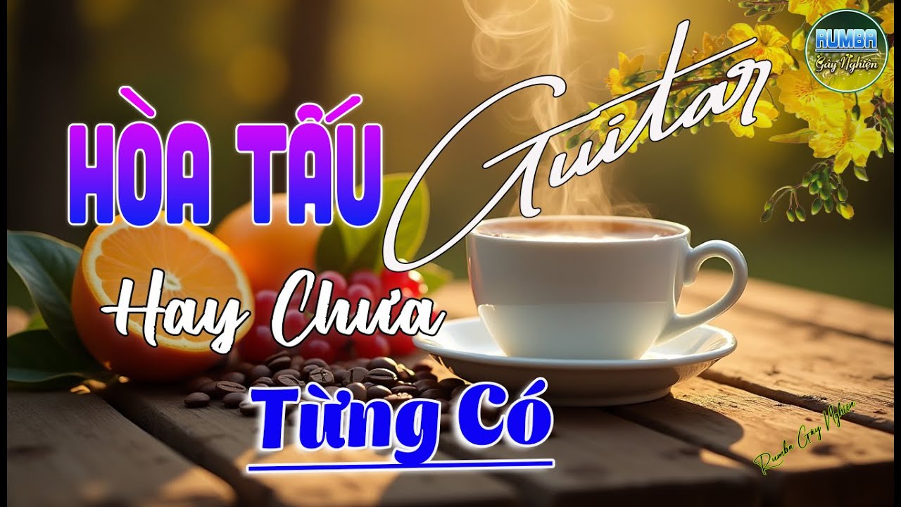 23/08 Mở Nhạc Không Lời Buổi Sáng HAY CHƯA TỪNG CÓ ~ Hòa Tấu Guitar Rumba Nhạc Phòng Trà,Cafe Sáng