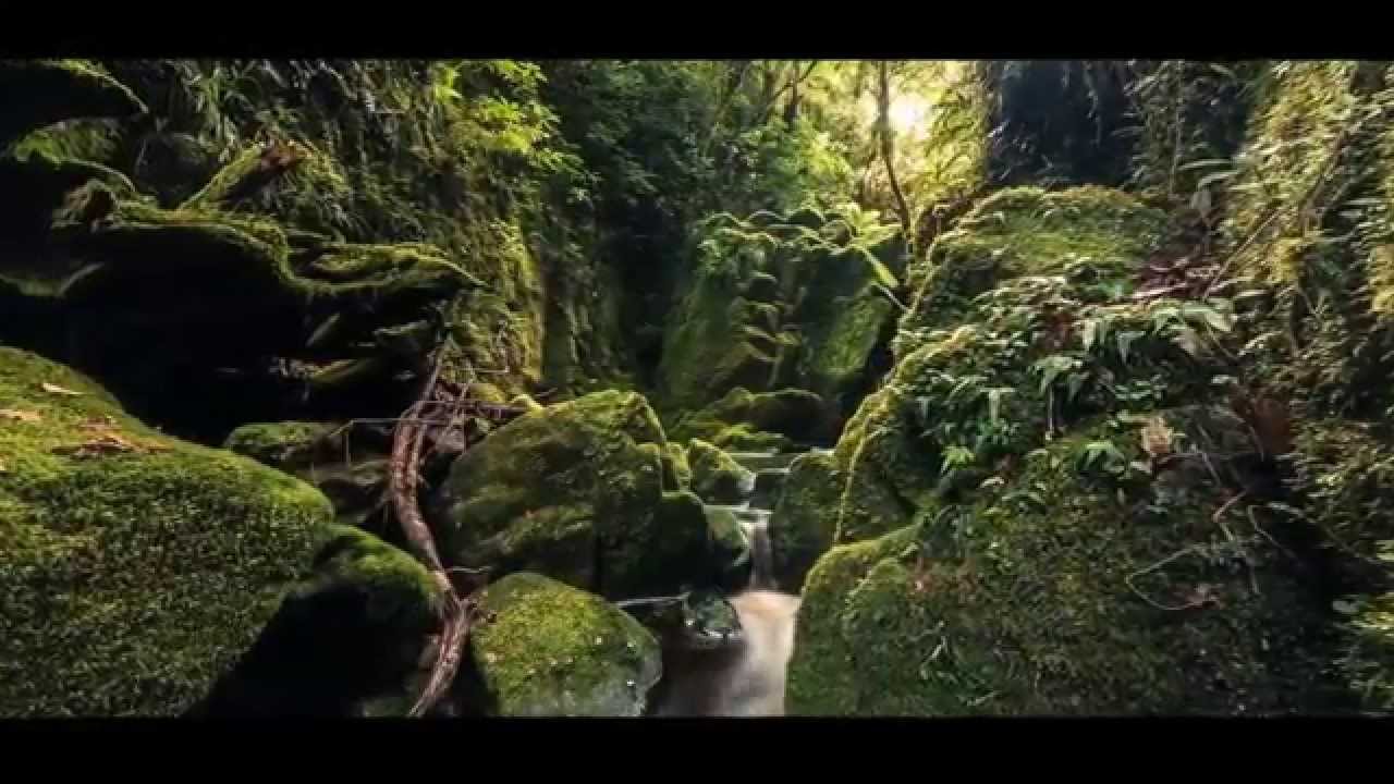 Water of Life (David Arkenstone)