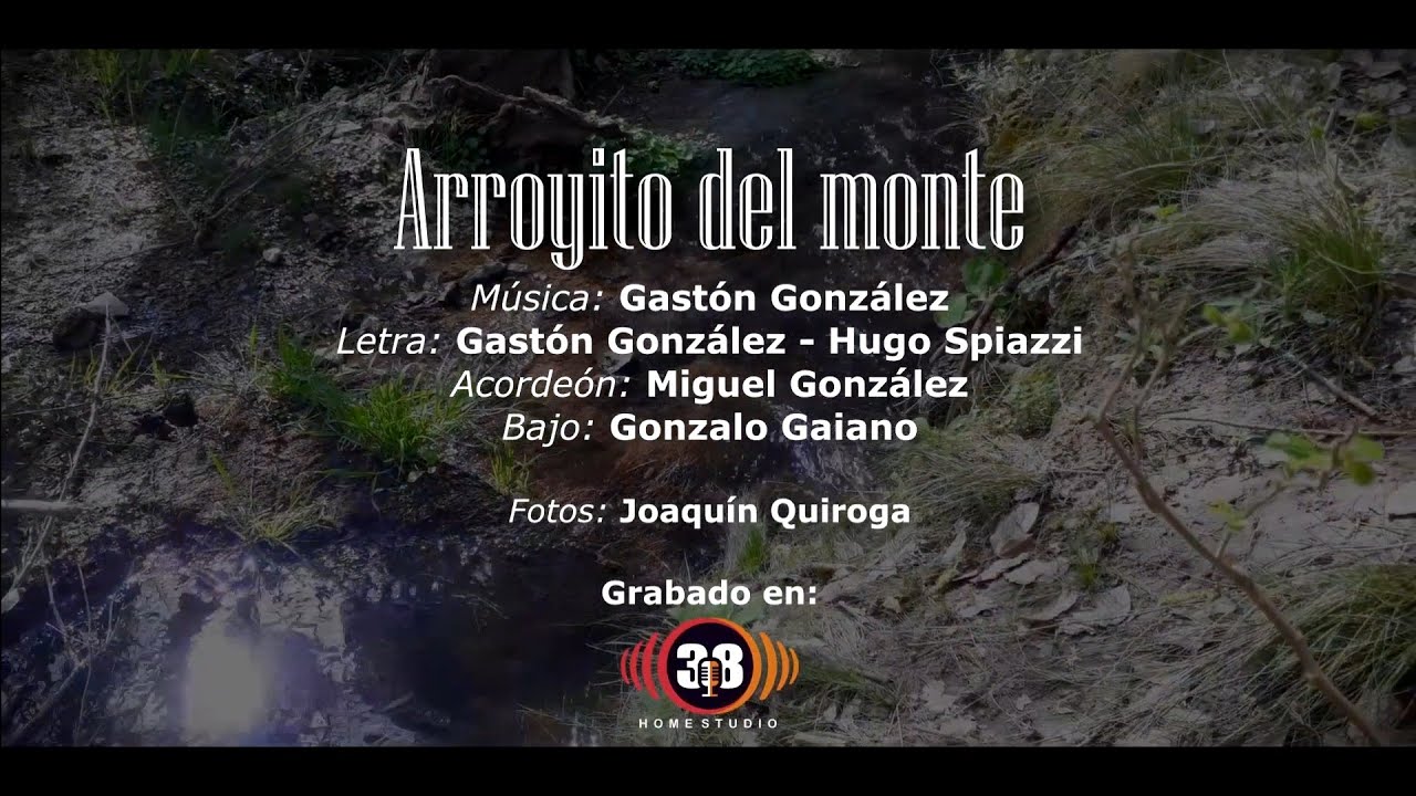 Arroyito del monte -  Gastón González
