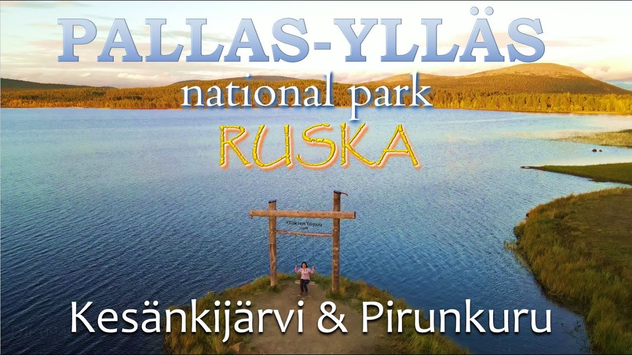 Ruska at Lapland Finland: Hike & Spectacular Sceneries in @visityllas Autumn Trip at Lapland