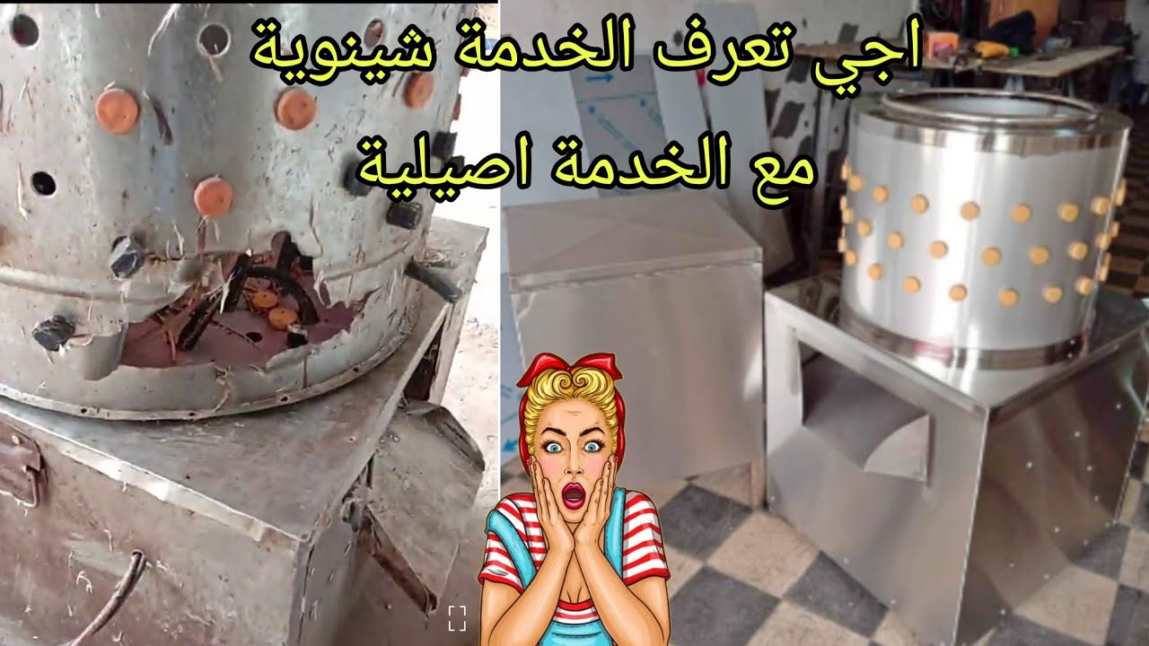 الفرق بين رياشة الدجاج لممتازة ورياشة السواقية 0679631336