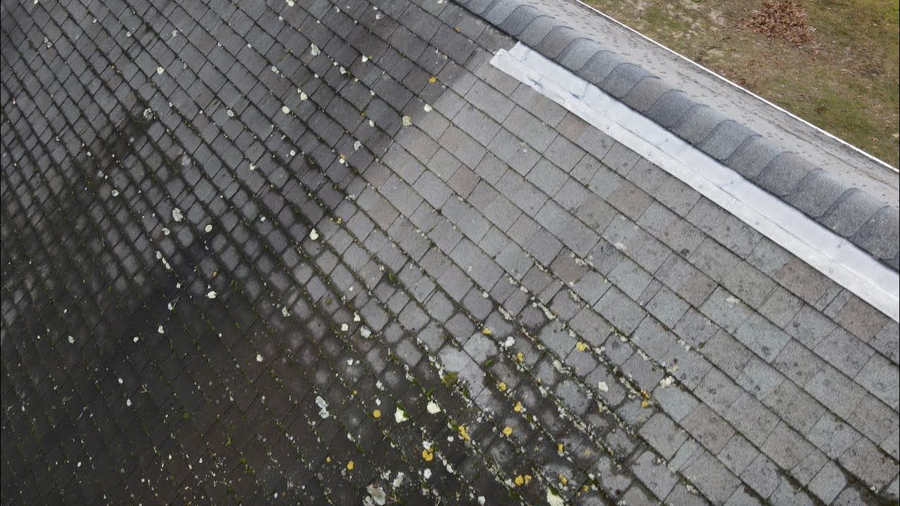 Do Zinc Roof Strips Work?