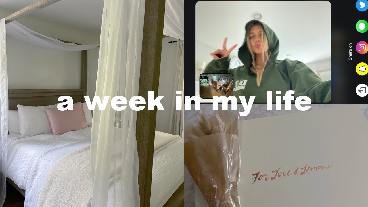 first week(ish) vlog of the summer!! 🐚🍉🤿🦋💞