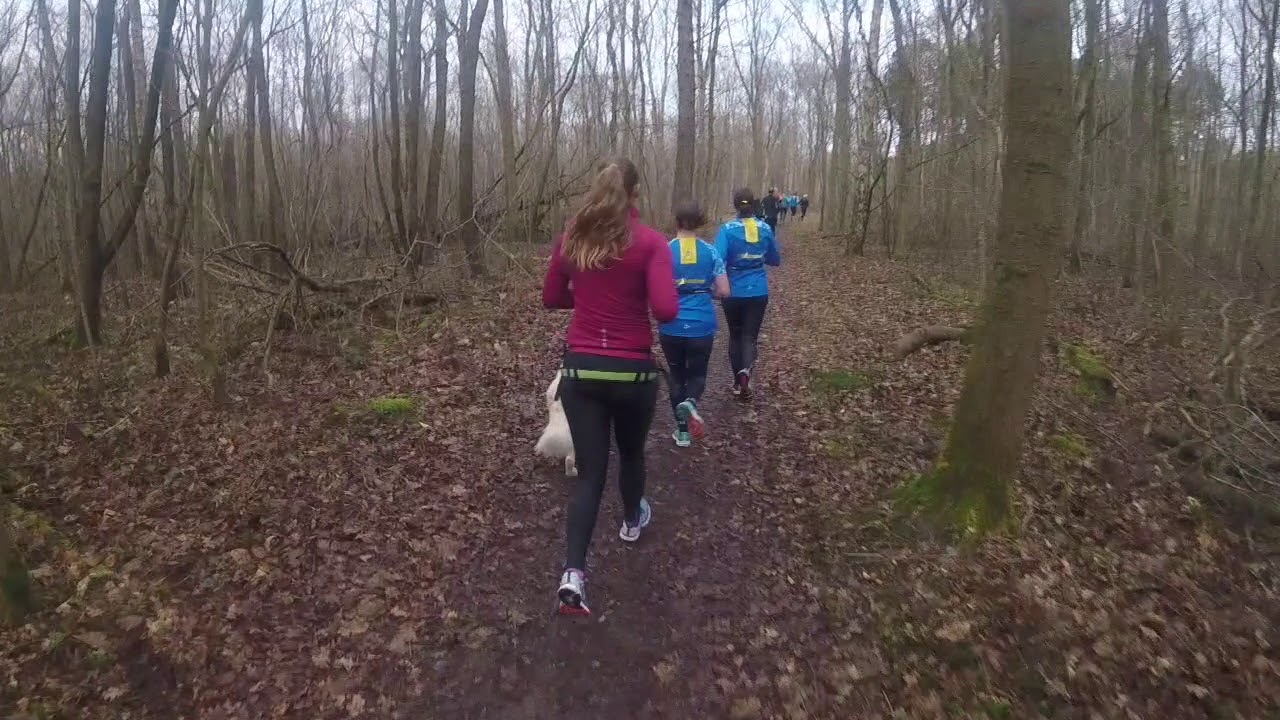 RVW-TV - Robbenoordbos-loop van 06-01-2019
