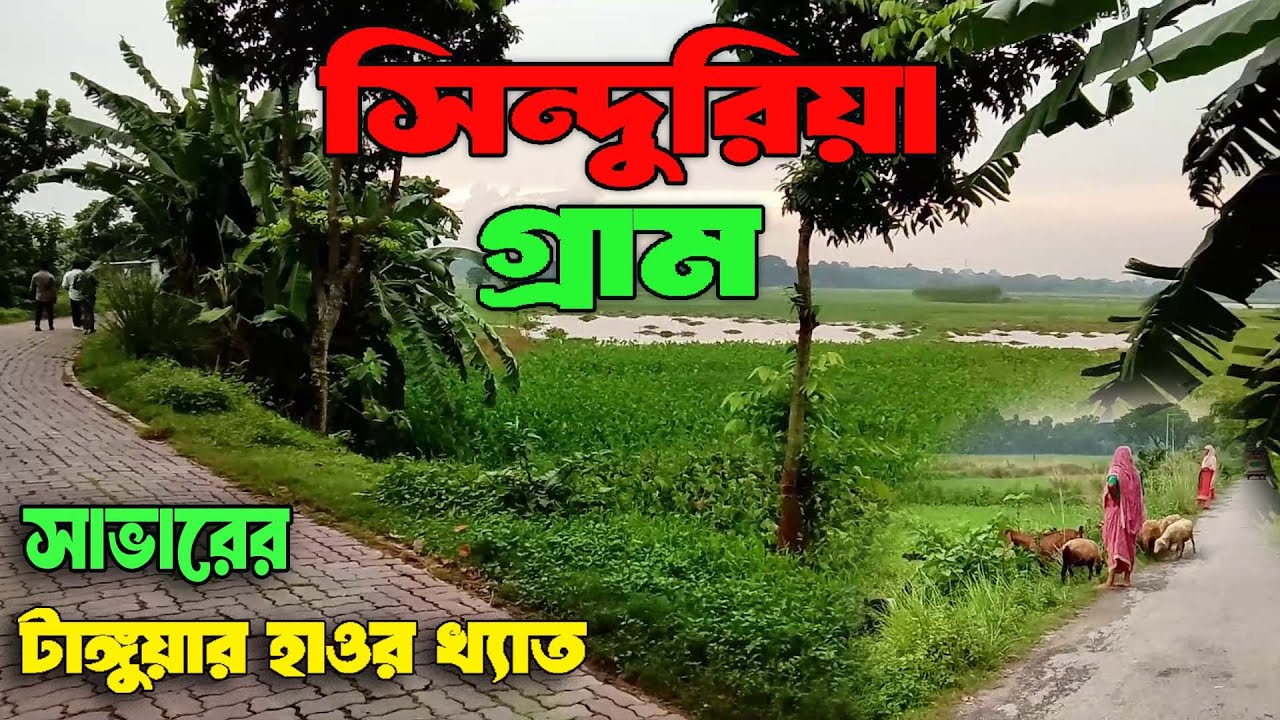 সাভারের সিন্দুরিয়া গ্রাম: ঢাকার কাছে লুকানো এক সবুজ স্বর্গ | Travel With Ismail |