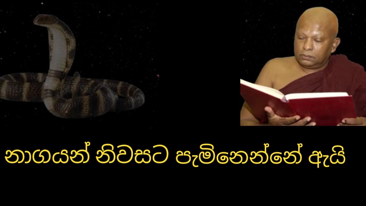 නිවසට නාගයන් පැමිනෙන්නේ ඇයි?