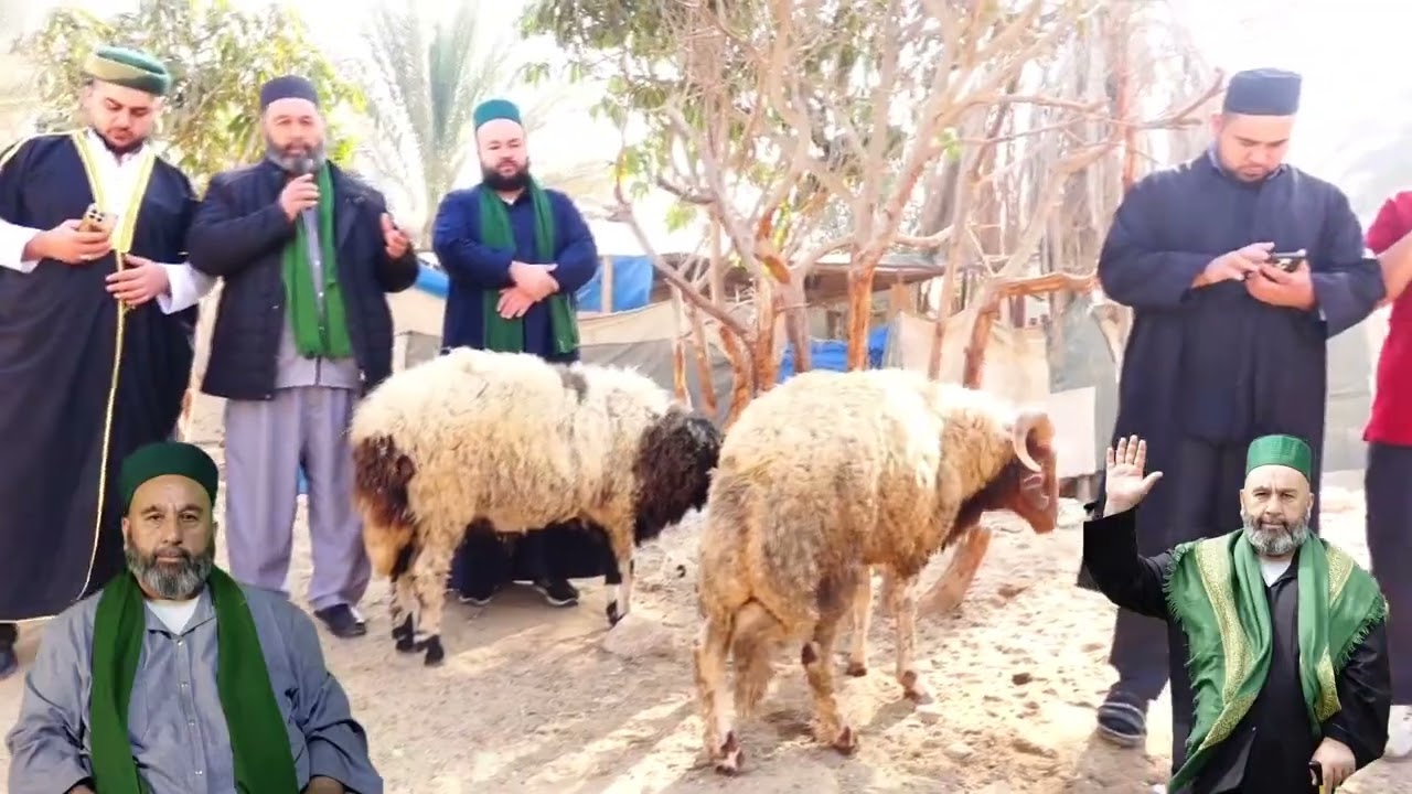 شيوخ عفرين❤️اخي منذر في اسطنبول الف مبروك يا غالي 💚 الشيخ عزيز الرفاعي وأولاده ماشاءالله تبارك الله 