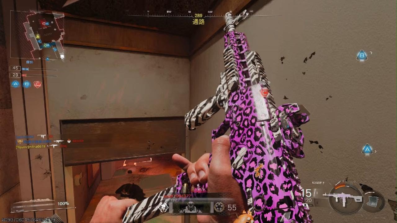 Call of Duty_ぱらのどみ1い