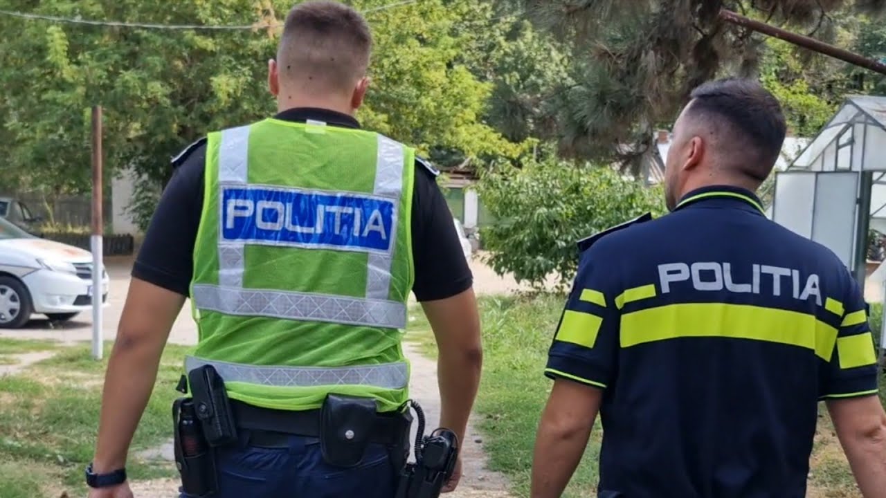 Am prins lupii de la Ocolul Silvic Comana ! Poliția 112 în acțiune ! Dosar penal !