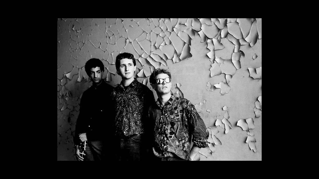 Poisonous Little Creatures -  Absolutely Nothing (Live in Germany)