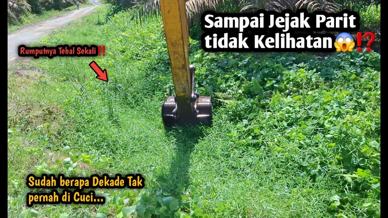 Sampai Jejak Parit tidak Kelihatan😱⁉️Sudah Berapa Dekade tak pernah dicuci||Rumputnya Tebal Sekali‼️