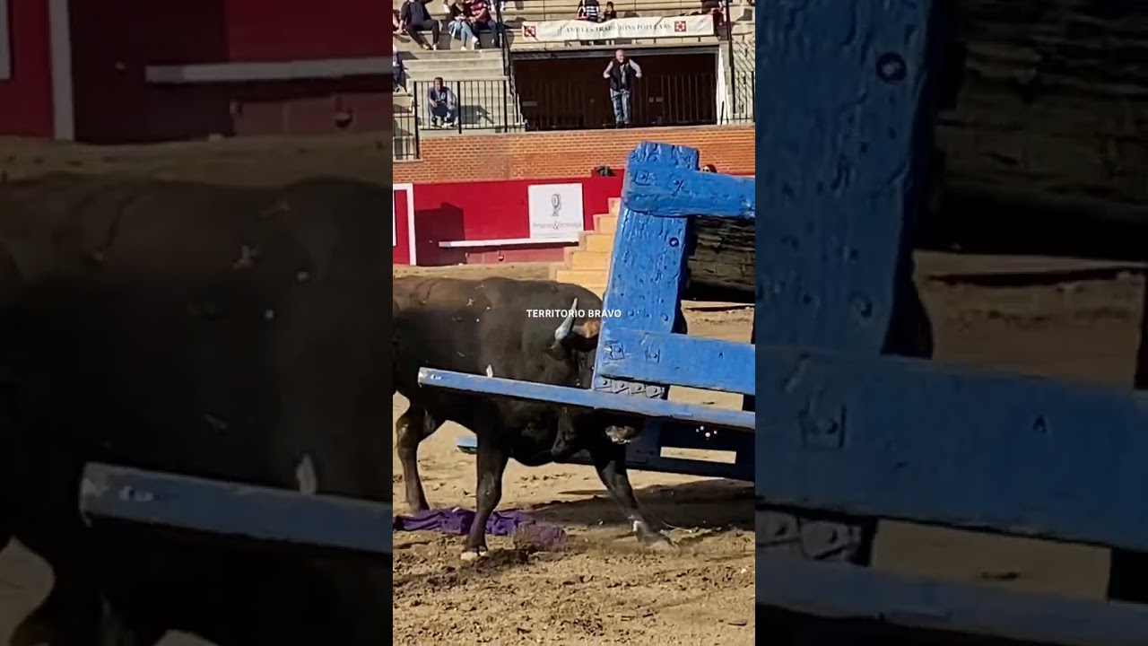 TORO LEVANTA EL BANCO!