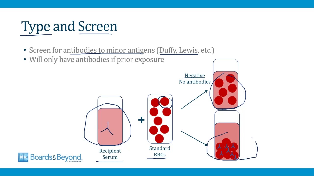 Hematology Step 2-3 - Blood Products &mdash; Boards and Beyond