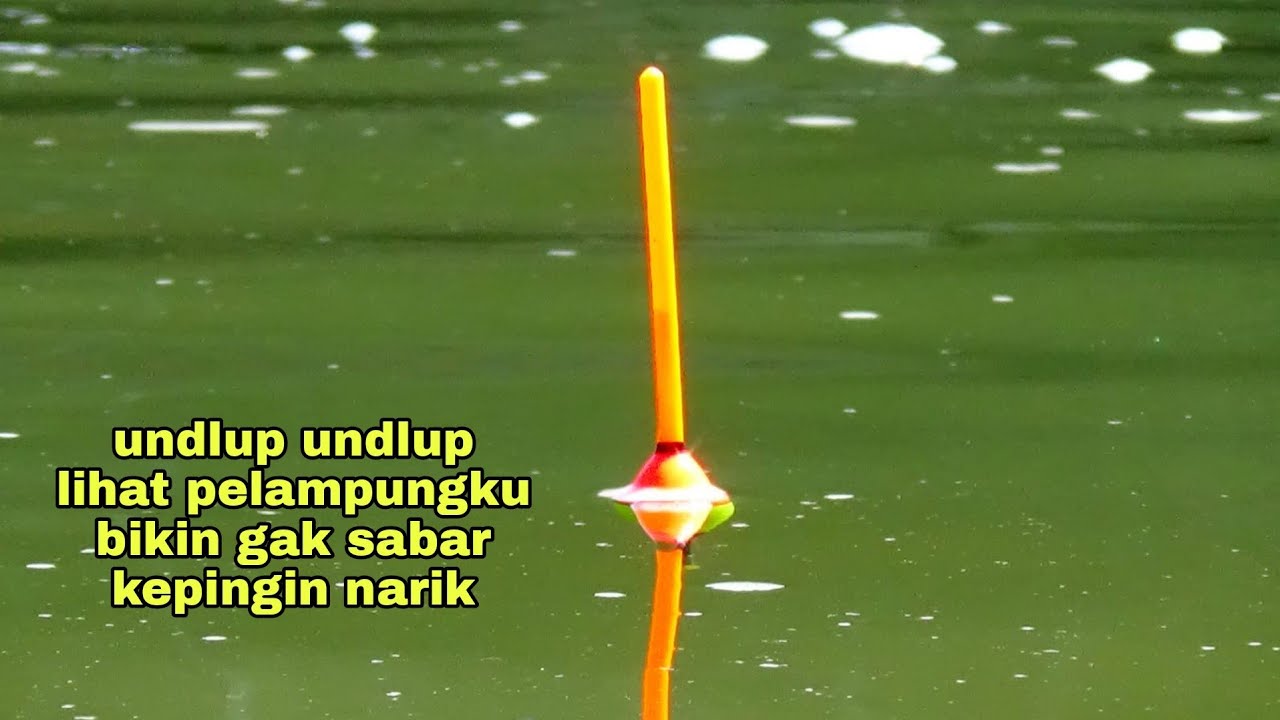 tak sabar lihat undlupnya pelampungku,sikat langsung strike #Bp-63