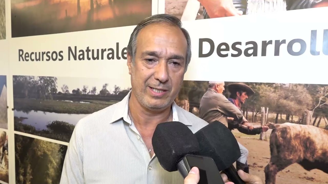 Presentación de la Fiesta de la Buena Miel en Basail
