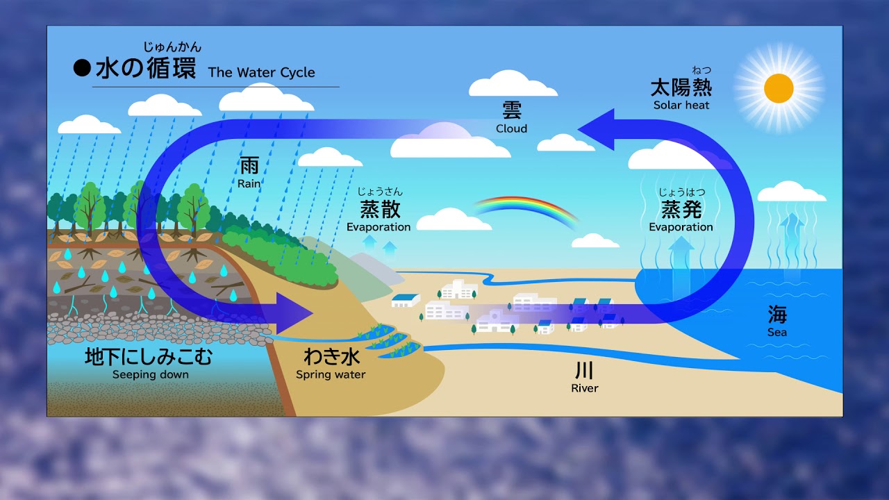日立中央研究所の自然【森と湧水】 - 日立