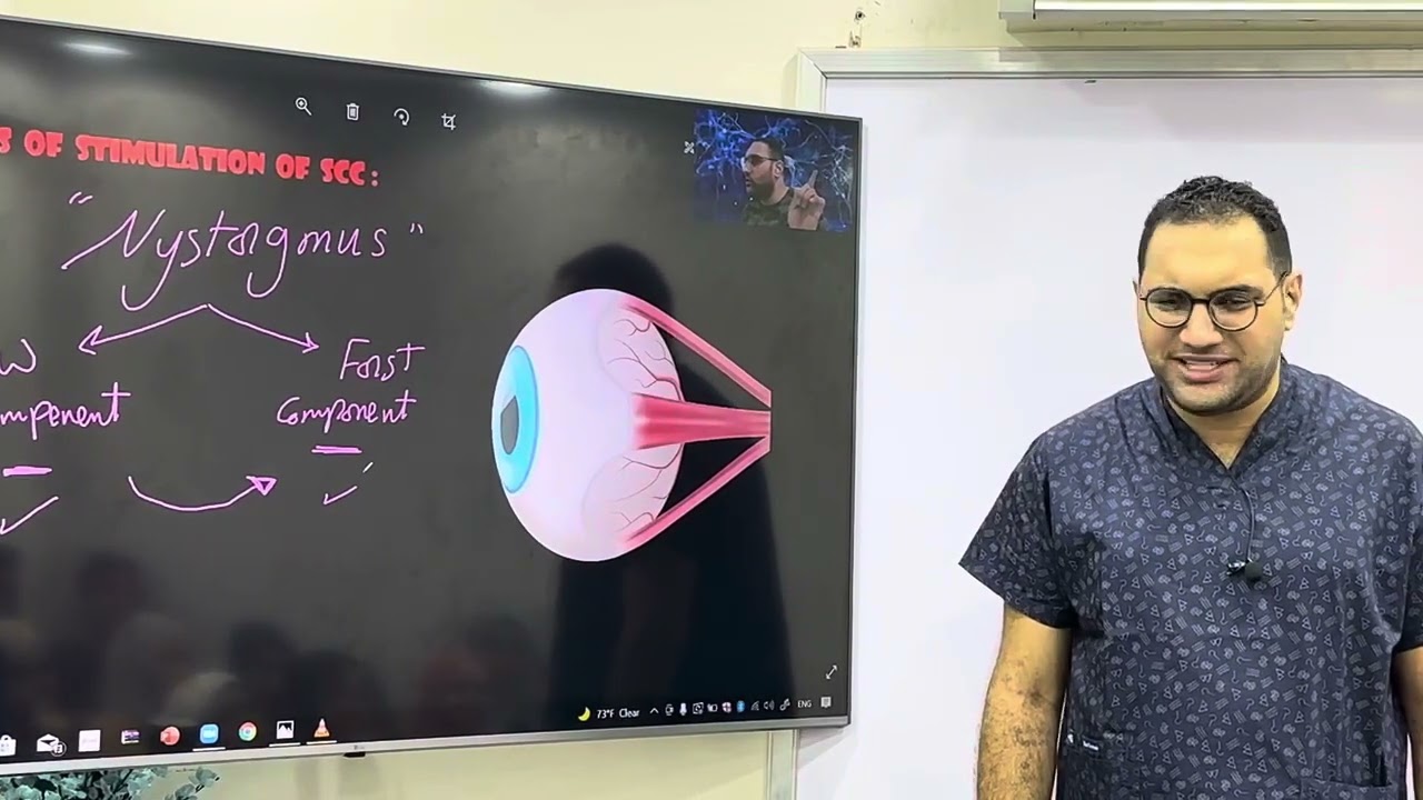Motor nervous system Revision -part 3 القصر العيني