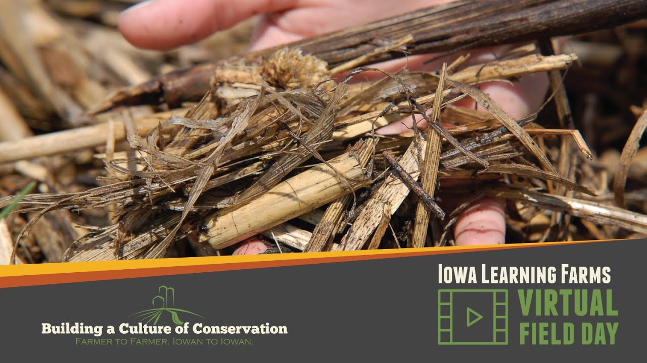 Exploring the Impacts of Residue Management on Crop Yield and Fertilizer Inputs
