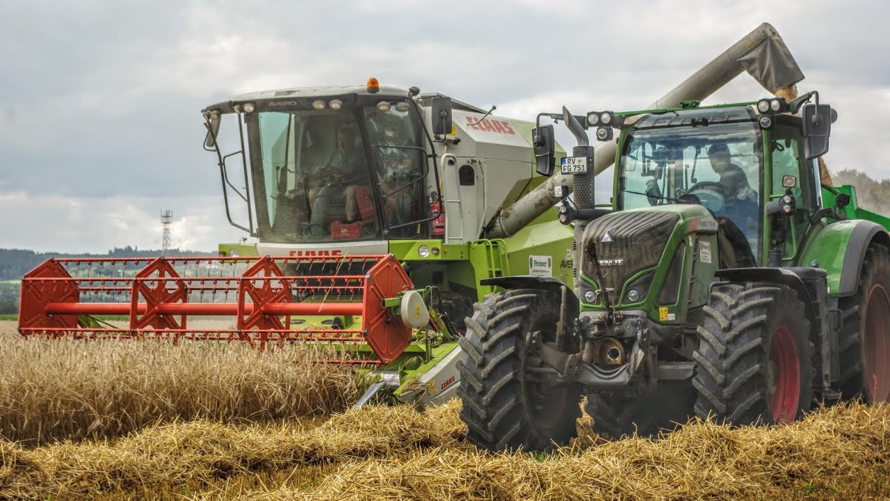 Lohnunternehmen Frener beim Dreschen / Claas Avero 240 / Fendt 718