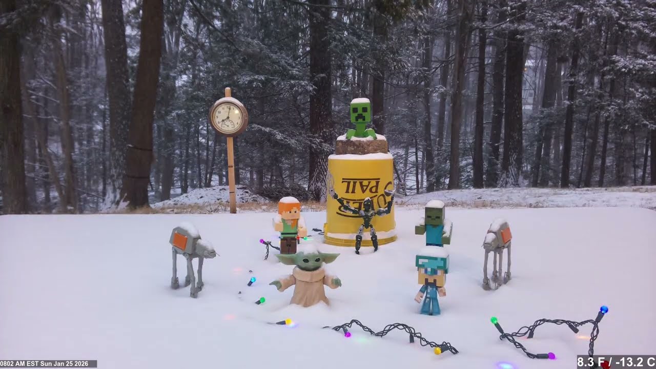Time lapse of Snowfall from January 25 to 26, 2026
