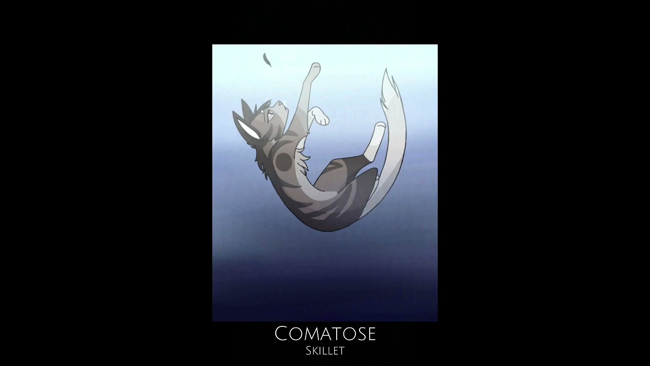 Skillet-Comatose (Slowed)