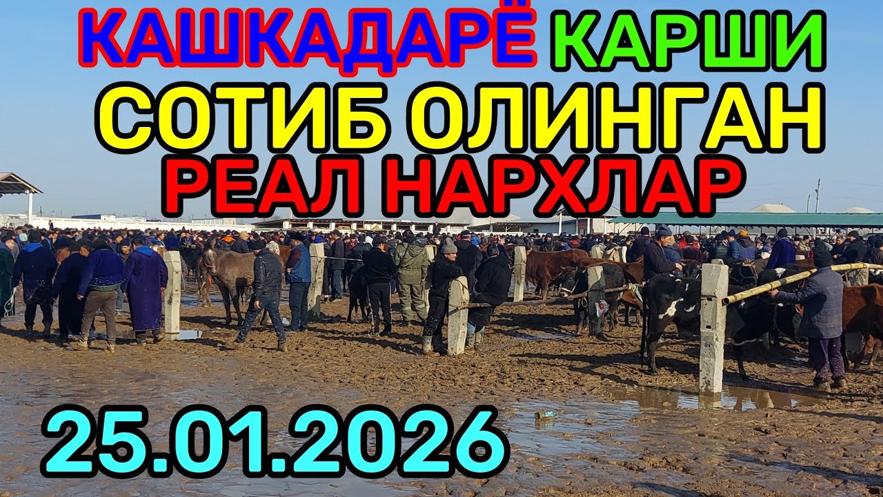 25.01.2026 СОТИБ ОЛИНГАН РЕАЛ НАРХЛАР КАРШИ КАРВОН МОЛ БОЗОРИДА 