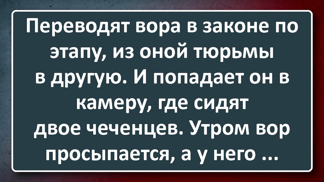 Вовочка в Женском Монстыре! Подборка Лучших Анекдотов Синего Предела
