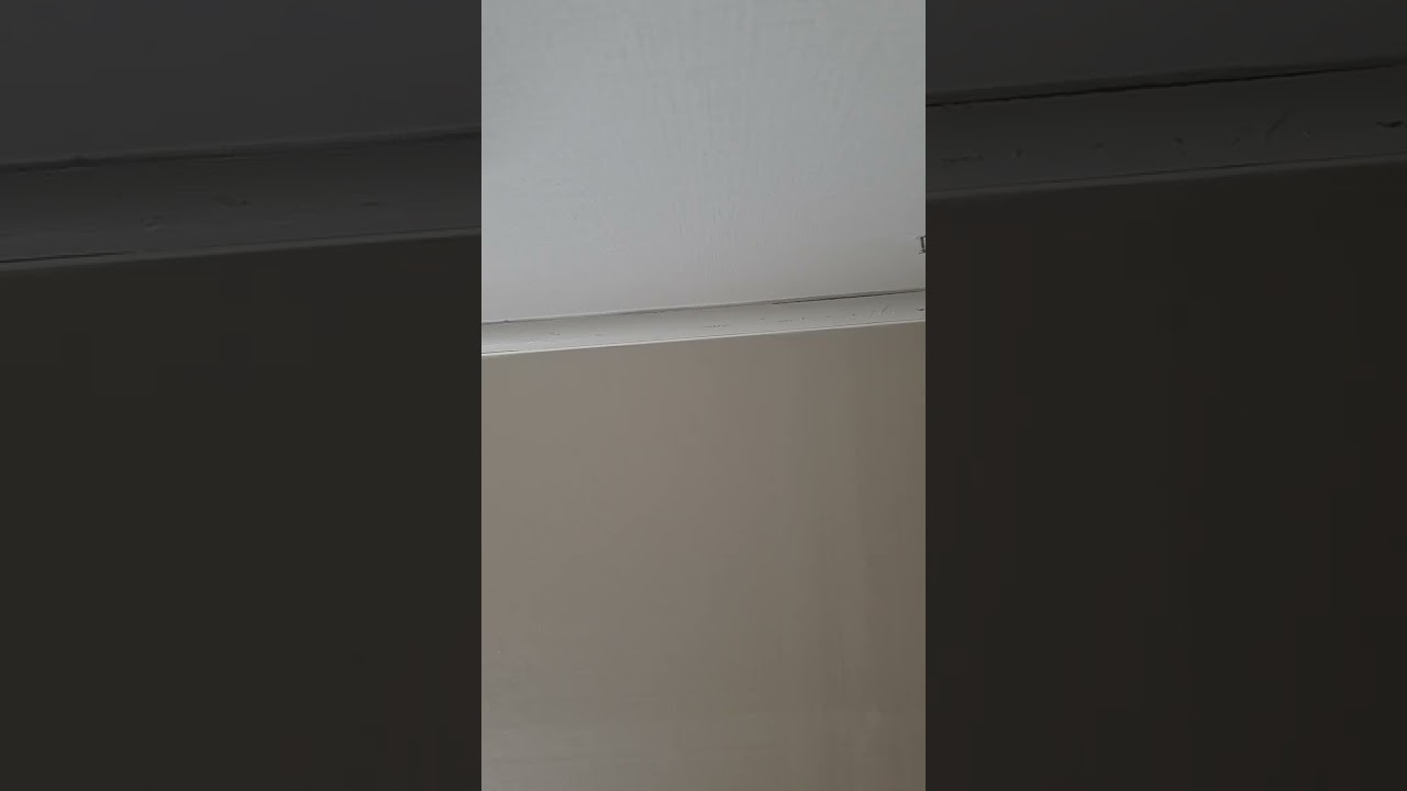 안성시 공도부영아파트104동 층간소음현장 이사온지6개월동안.단하루도 안쉬고 이럽니다 .이어폰필수ㅋㅋ