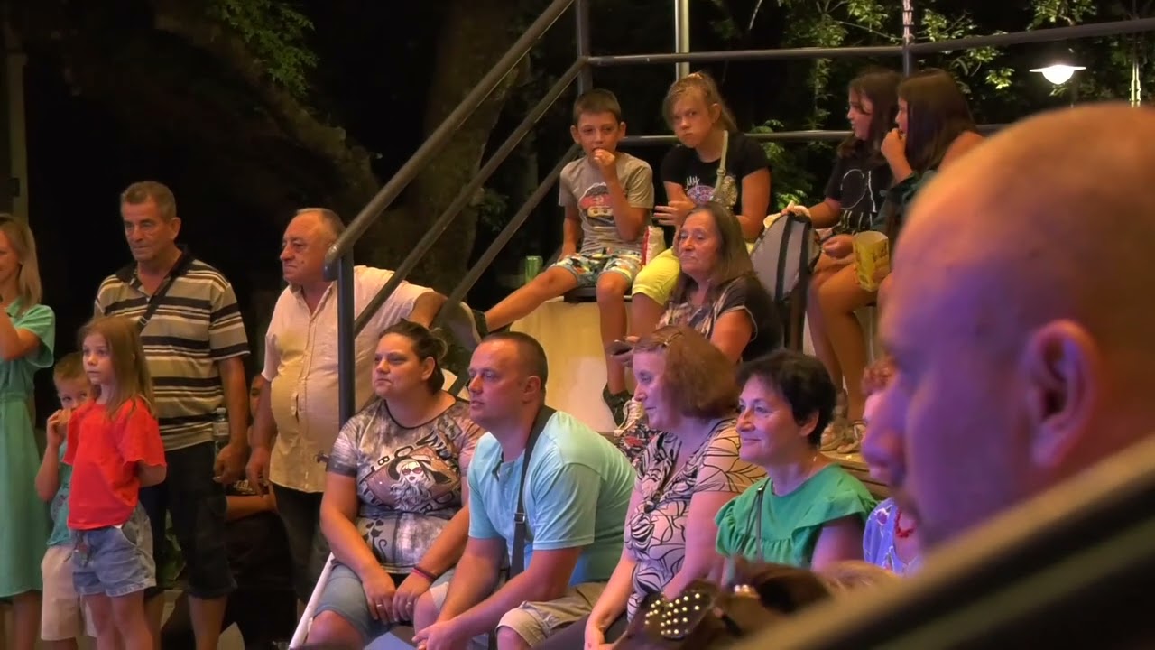 Kulturno leto 2024 u Palanci, gost Rade Ćosić