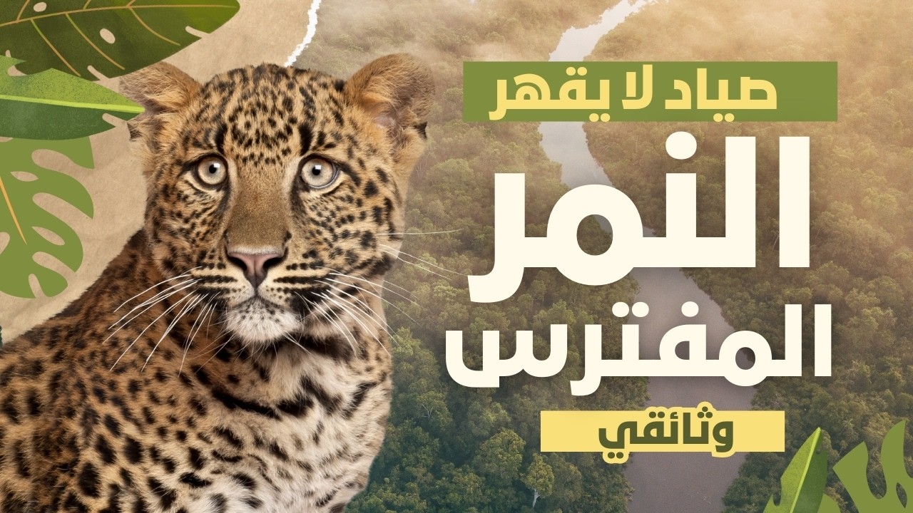 النمر: الصياد المفترس الذي لا يخطئ | وثائقي