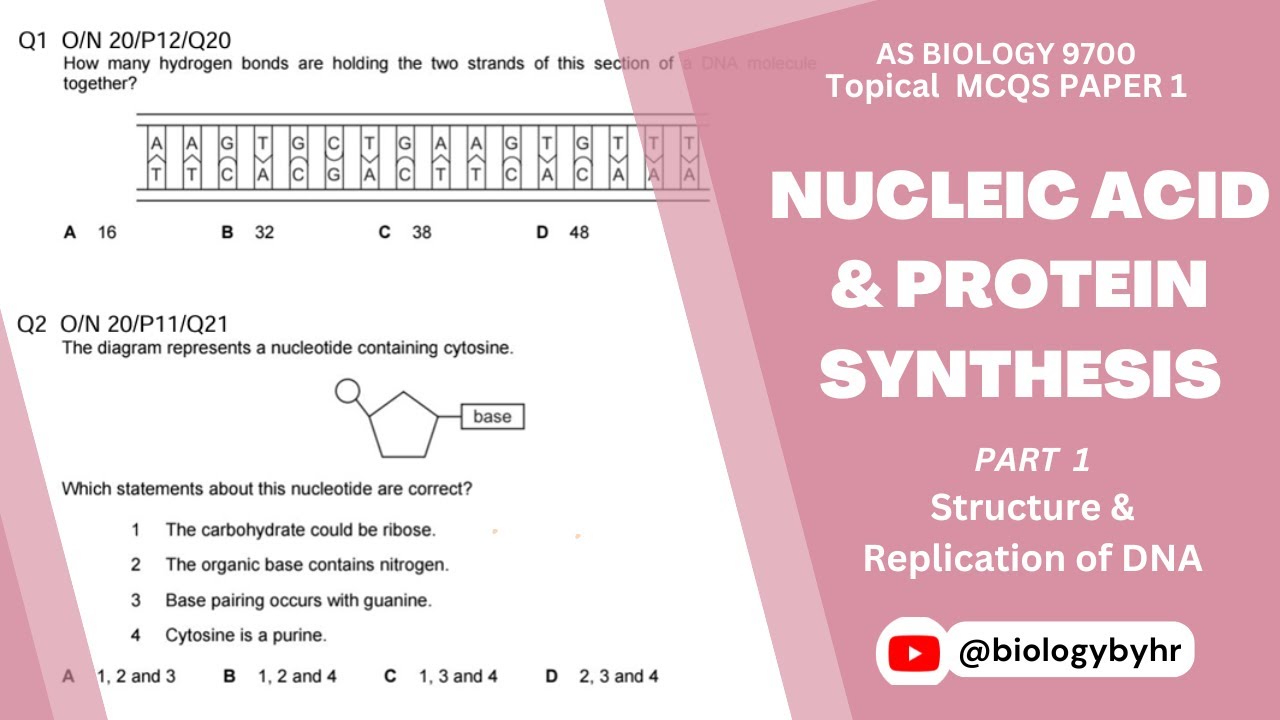 Nucleic Acids & Protein Synthesis | Topical MCQs | Part 1 | AS Level Biology 9700 | @biologybyhr