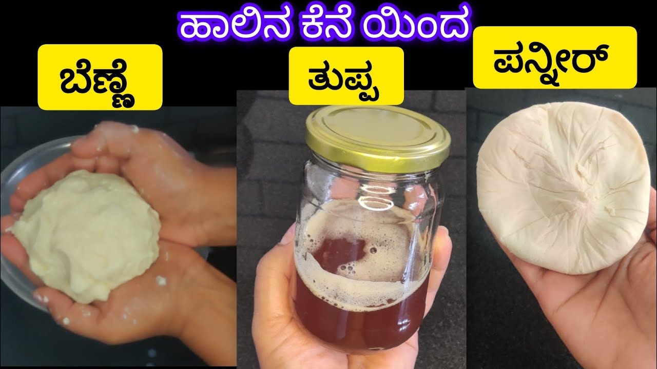 ಒಂದು ಪದಾರ್ಥ 3 ಪ್ರಾಡಕ್ಟ್ | 1 ingredient= 3 products | homemade butter, ghee and paneer | easy recipe 