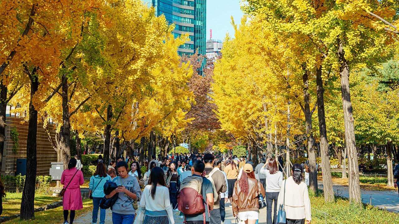 Autumn in Seoul: A Colorful Tour of Fall Foliage at Seoul Forest | Travel Korea 4K HDR