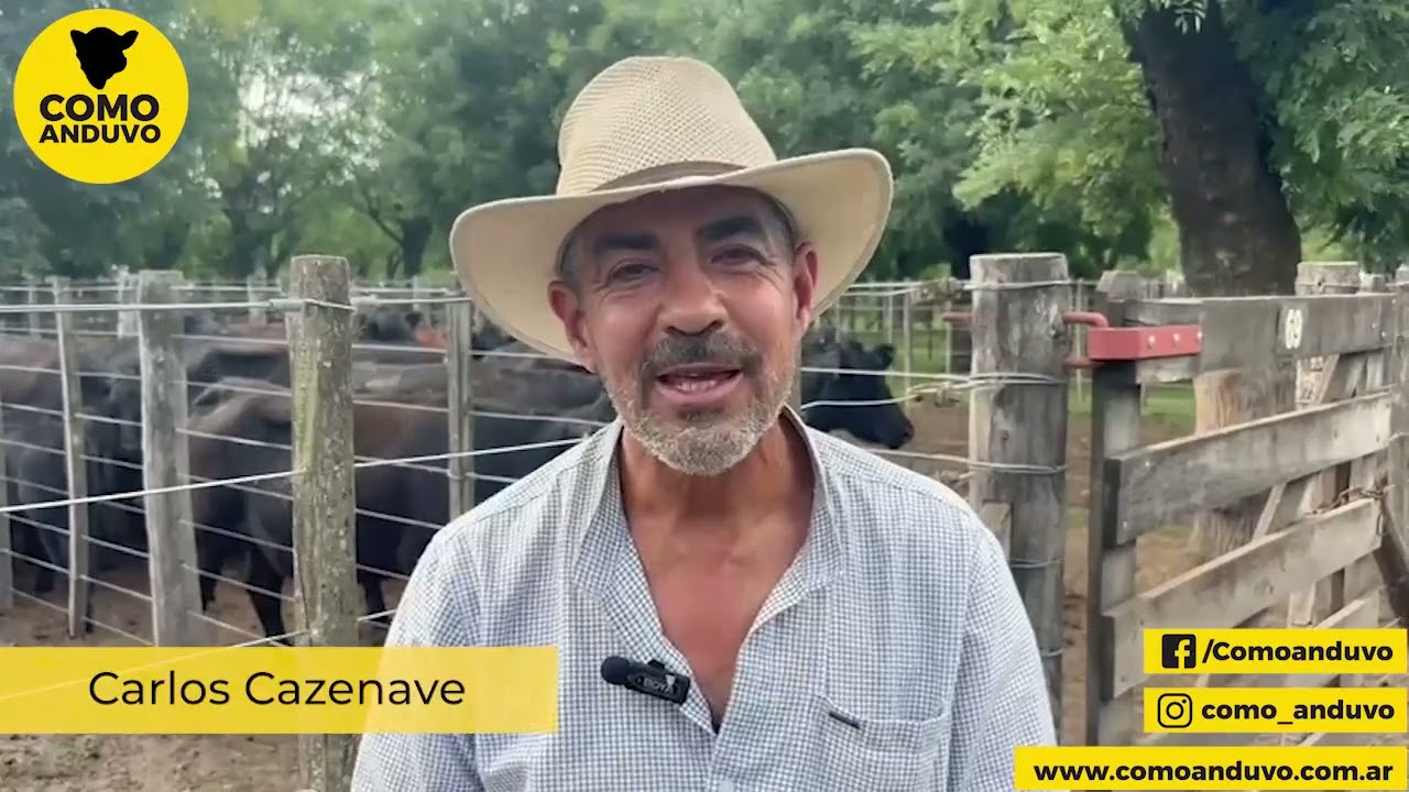 Carlos Cazenave; Rep de Sivero y Cía. Tapalqué 13/3/26.