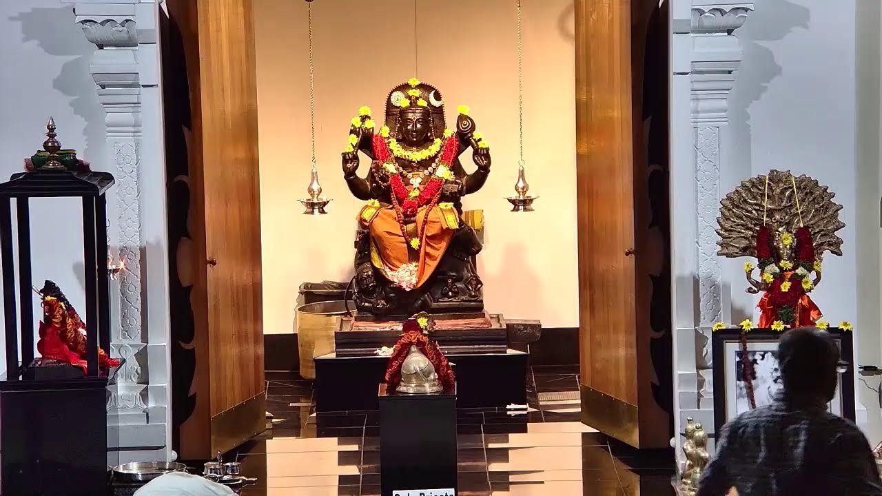 Arsha Vidya Pitham Live