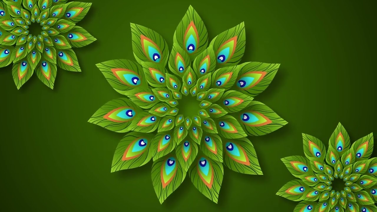 Traditional HD VJ Loops | Peacock VJ Loops FREE | Free VJ Loops Background | VJ Loops 2022