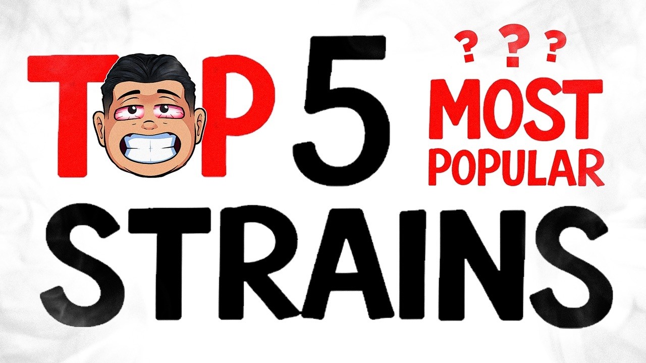 TOP 5 Most Popular STRAINS.....Explained