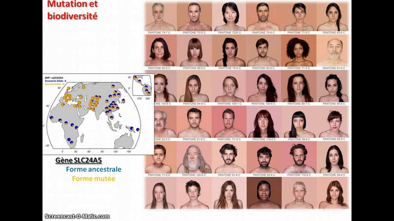 Mutations de l'ADN et origine de la biodiversité