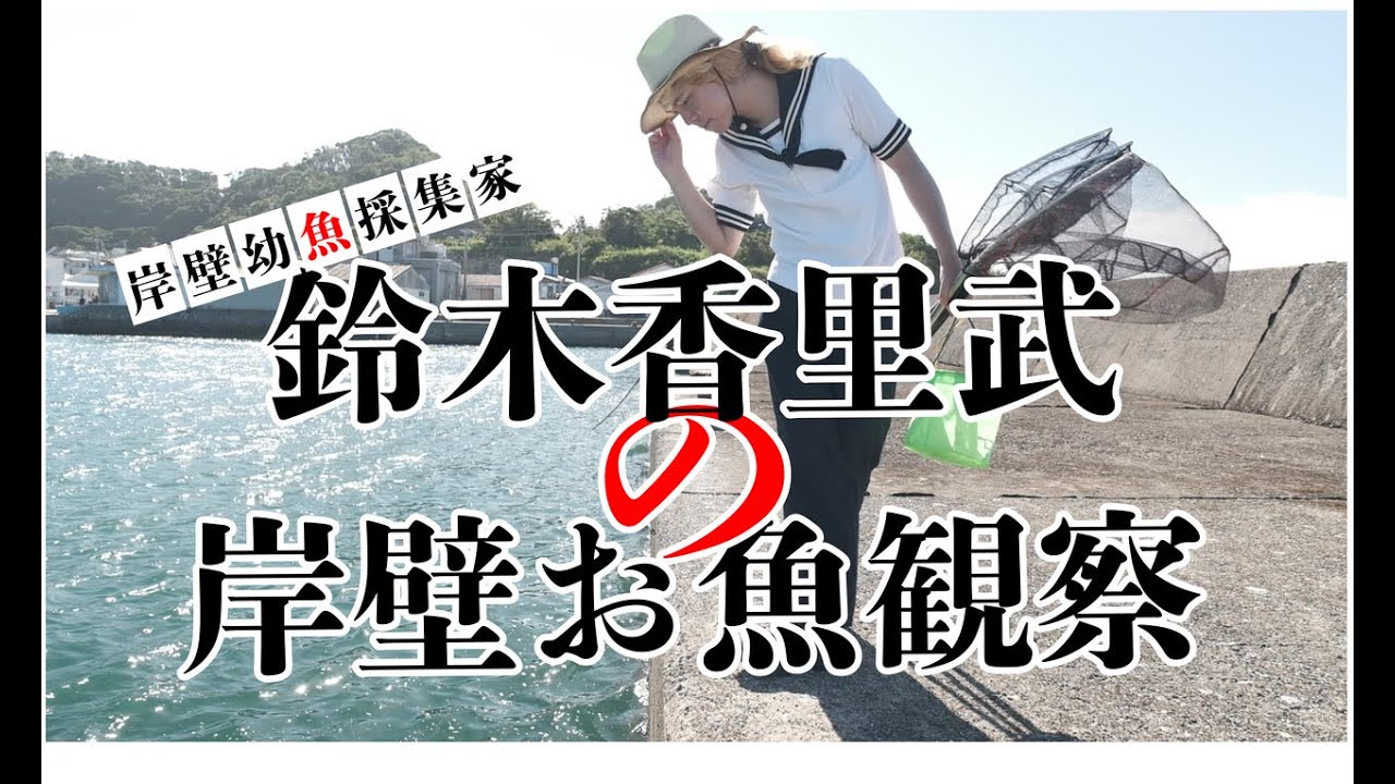 【岸壁幼魚採集】鈴木香里武さんが伝授！　岸壁幼魚採集の楽しさ教えます