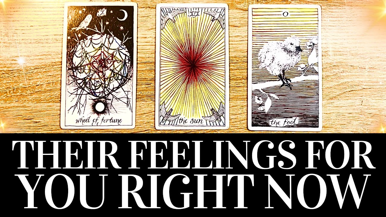 PICK A CARD💓😍 Their TRUE FEELINGS For You RIGHT NOW! 😍💓 They want you to know THIS! 🌟 Tarot Reading