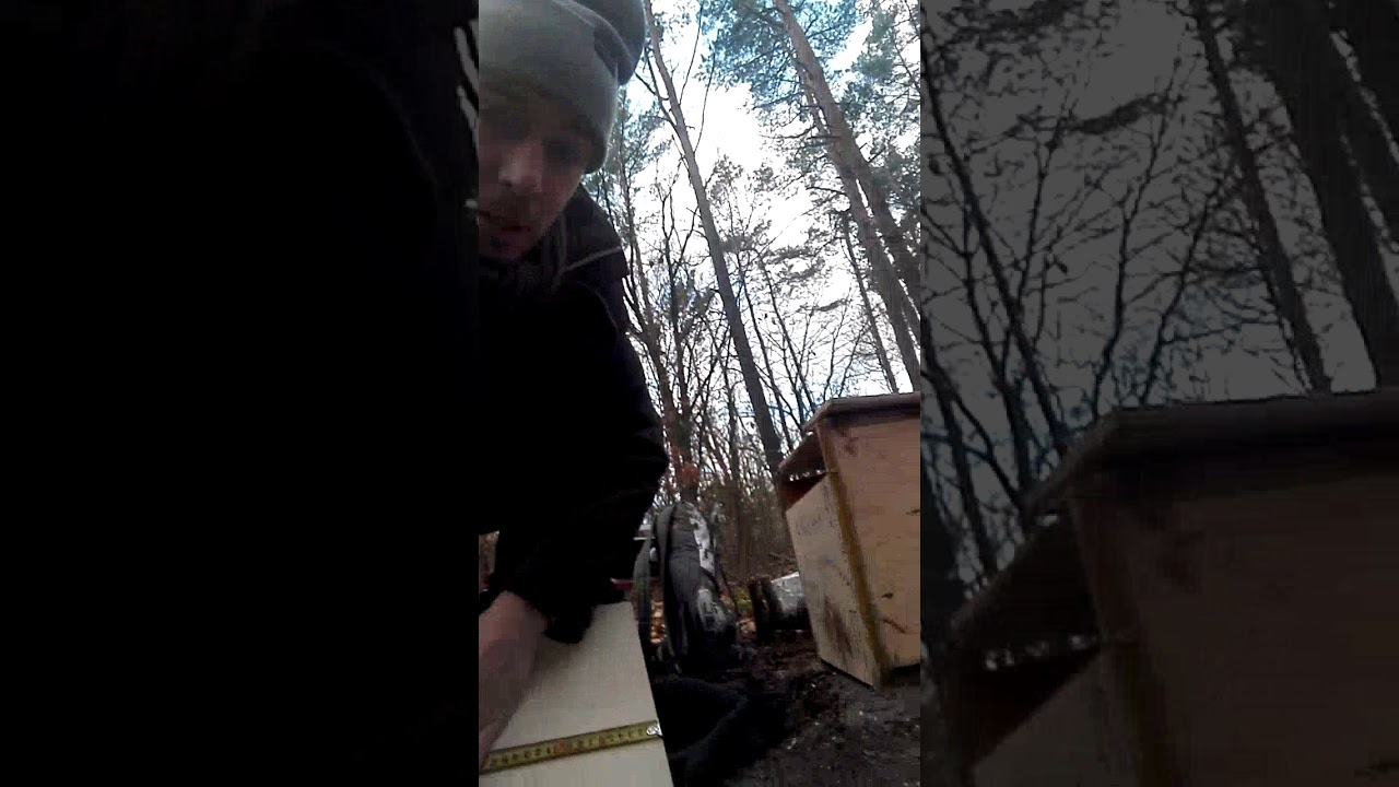 Bauen an der Bibliothek/Ort der Waldruhe/Künstlerort geschaffen von Künstler Piassono/Phili