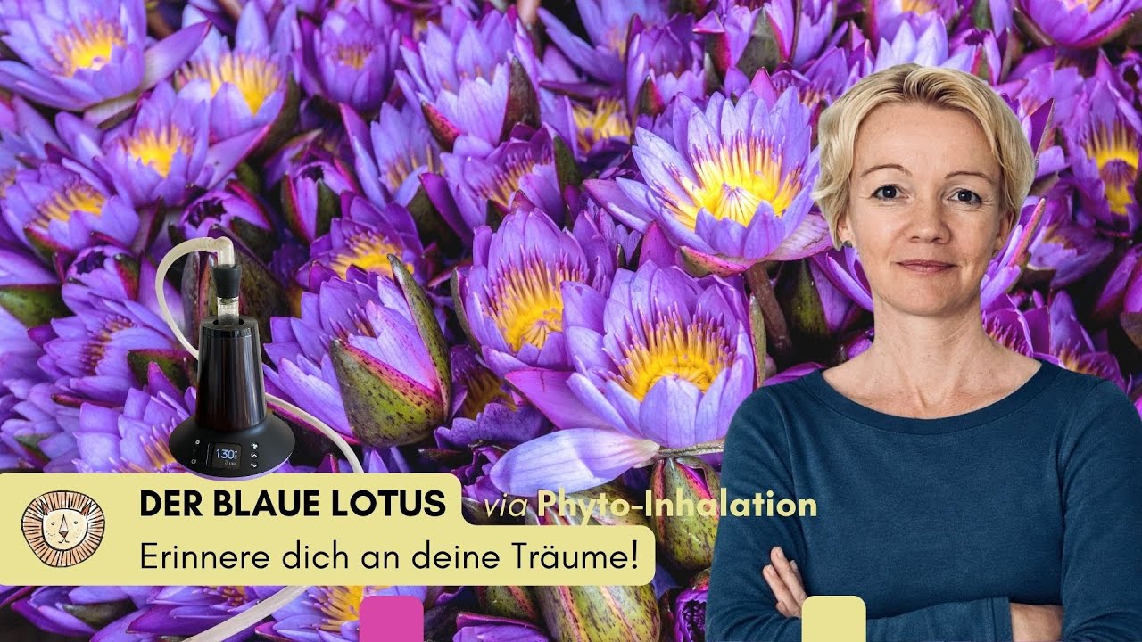 Der Blaue Lotus - Erinnere dich an deine Träume!