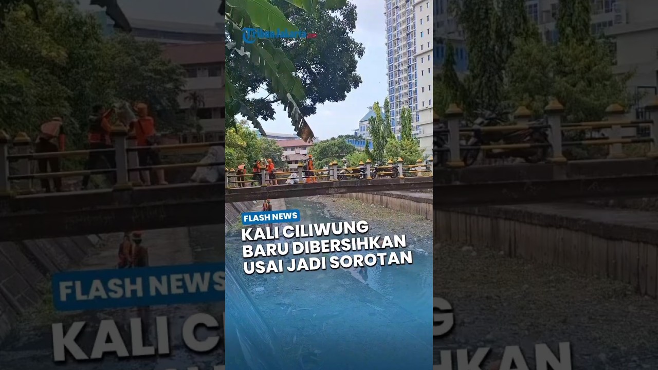 100 Petugas Gerebek Kali Ciliwung di Menteng setelah Viral Banyak Sampah dan Tebalnya Endapan Lumpur
