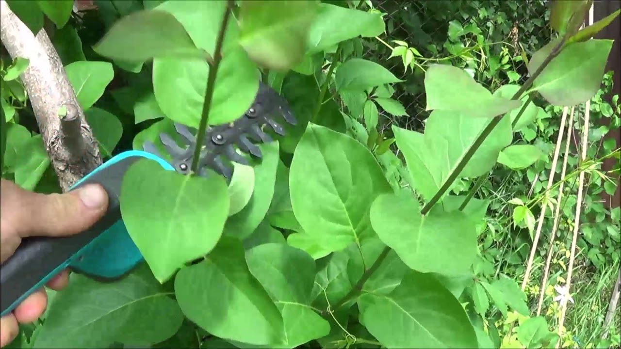Аккумуляторные ножницы кусторез Gardena Accu Cut Li