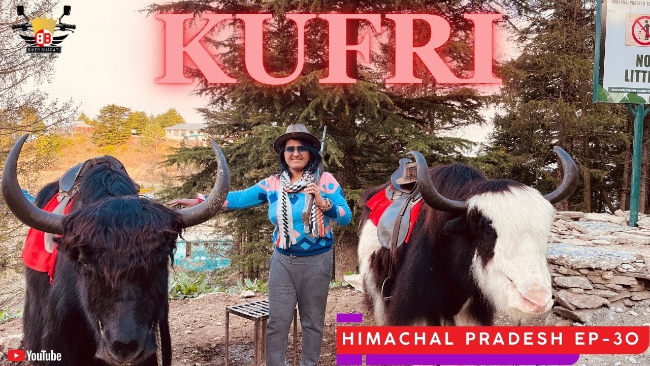 Shimla To Kufri Tour 2025 | Best Tourist Places In Kufri