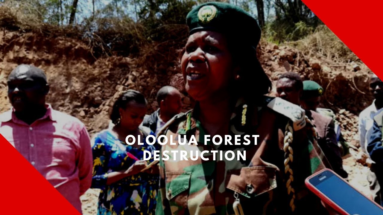 Managers of Oloolua Forest in Kajiado face the sack