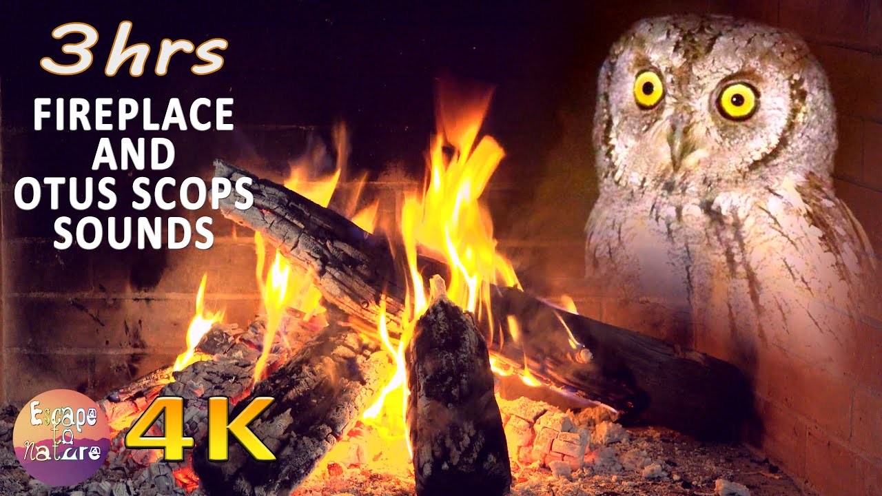 4K Fireplace & Otus Scops sounds - Gentle relaxing nature sounds for deep sleep or meditation