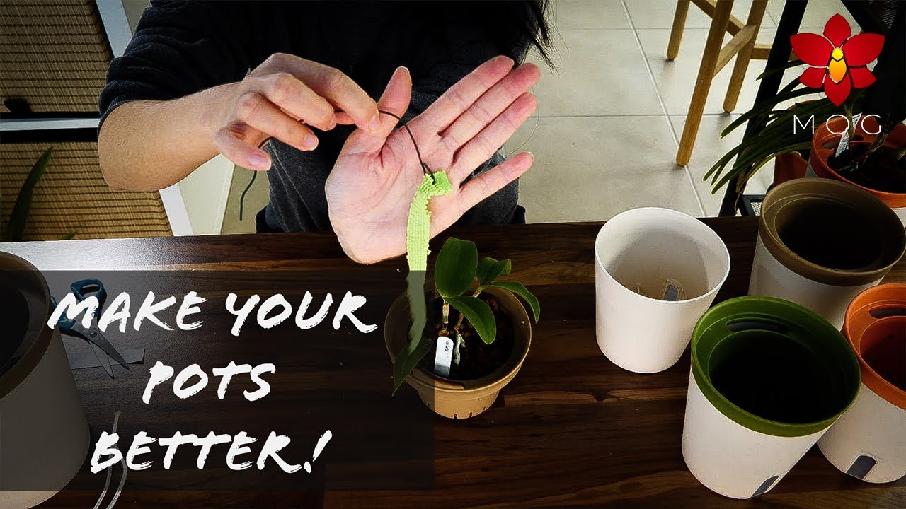 The perfect Orchid pot..is the one YOU make! - Tips for customizing self watering pots!