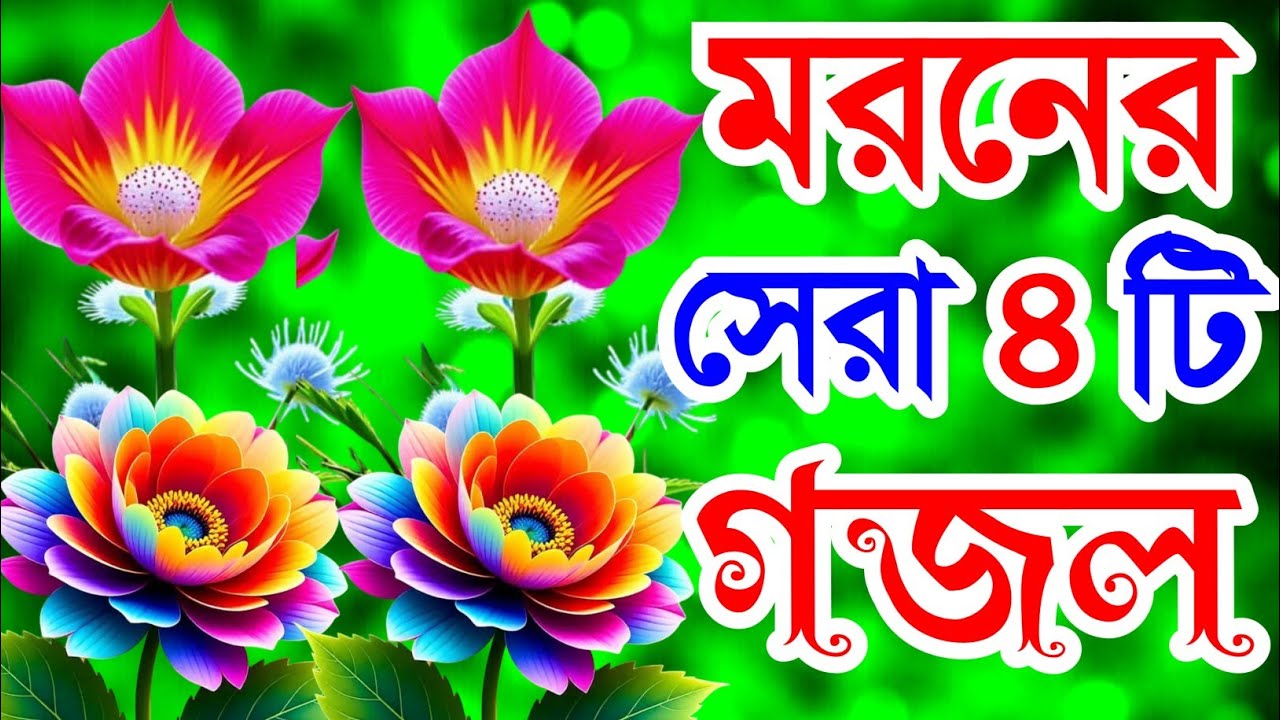 খুবই দুঃখের মরনের সেরা ৪টি গজল। কবরেতে গেলে বুঝবি কতই যন্ত্রনা গজল। দুঃখের গজল selected new Gojol