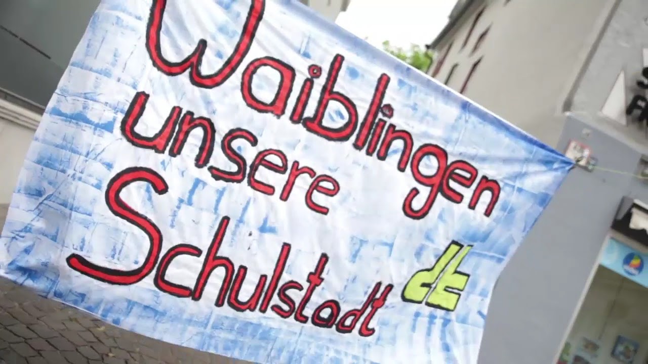 Flashmob in Waiblingen || Donner + Kern Private Schulen